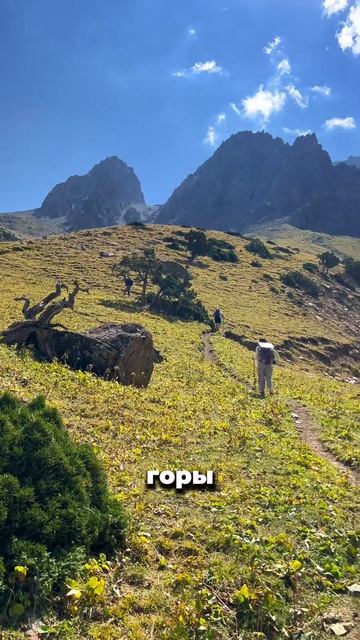 Гоу в горы вместе!