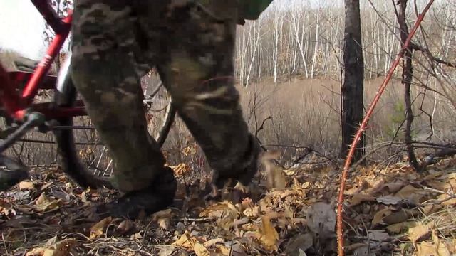 Бродилки от Бродислава 306