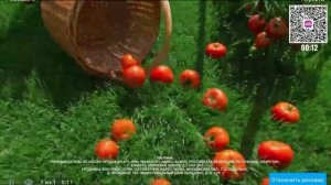реакция на видео Елены Райман