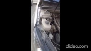 1000098243.mp4