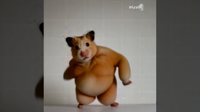 смешной хомяк из PixVerse.ai