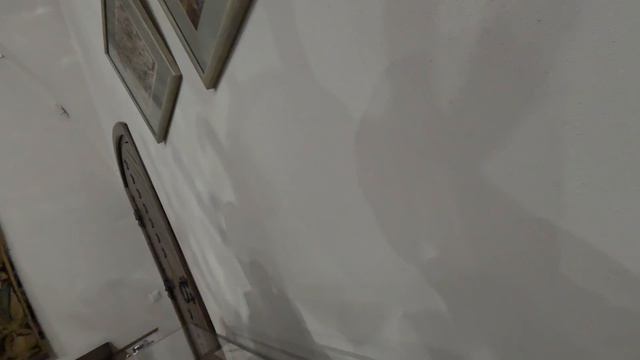 Беларусь день2