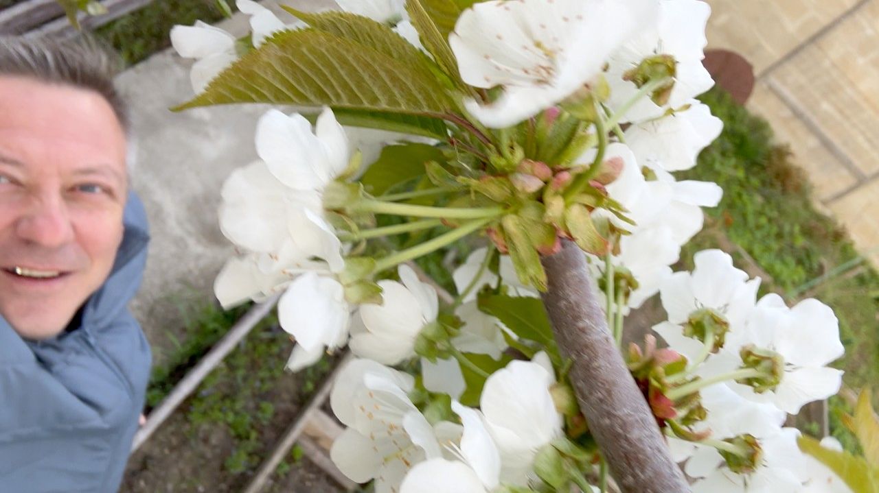 Жизнь вне орхидей - забрал Ёлки и ШОК от того что хотели УКРАСТЬ УКСУС или ЭТО случайность