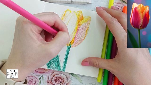 Рисуем тюльпан цветными линерами BRUYNZEEL