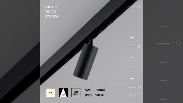 Светильник Maytoni Exility Focus LED TR032-2-5W4K-M-B