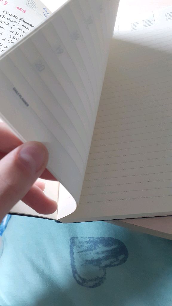 заполняю свой личный дневник, делаю свой  ежедневник, записываю номера телефона в записную книжку.