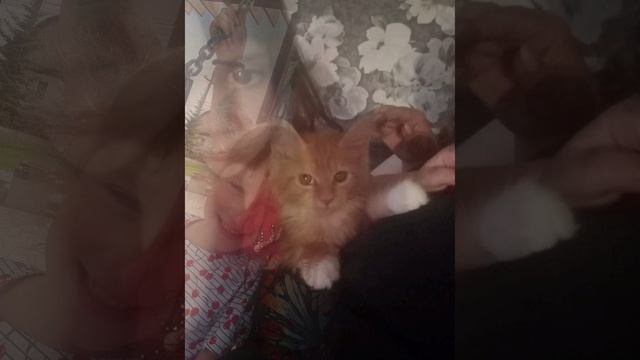 Моя семья и детский сад