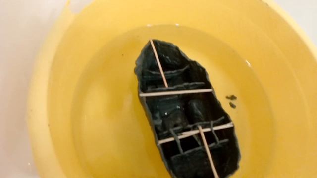 потоп выдуманного лайнера