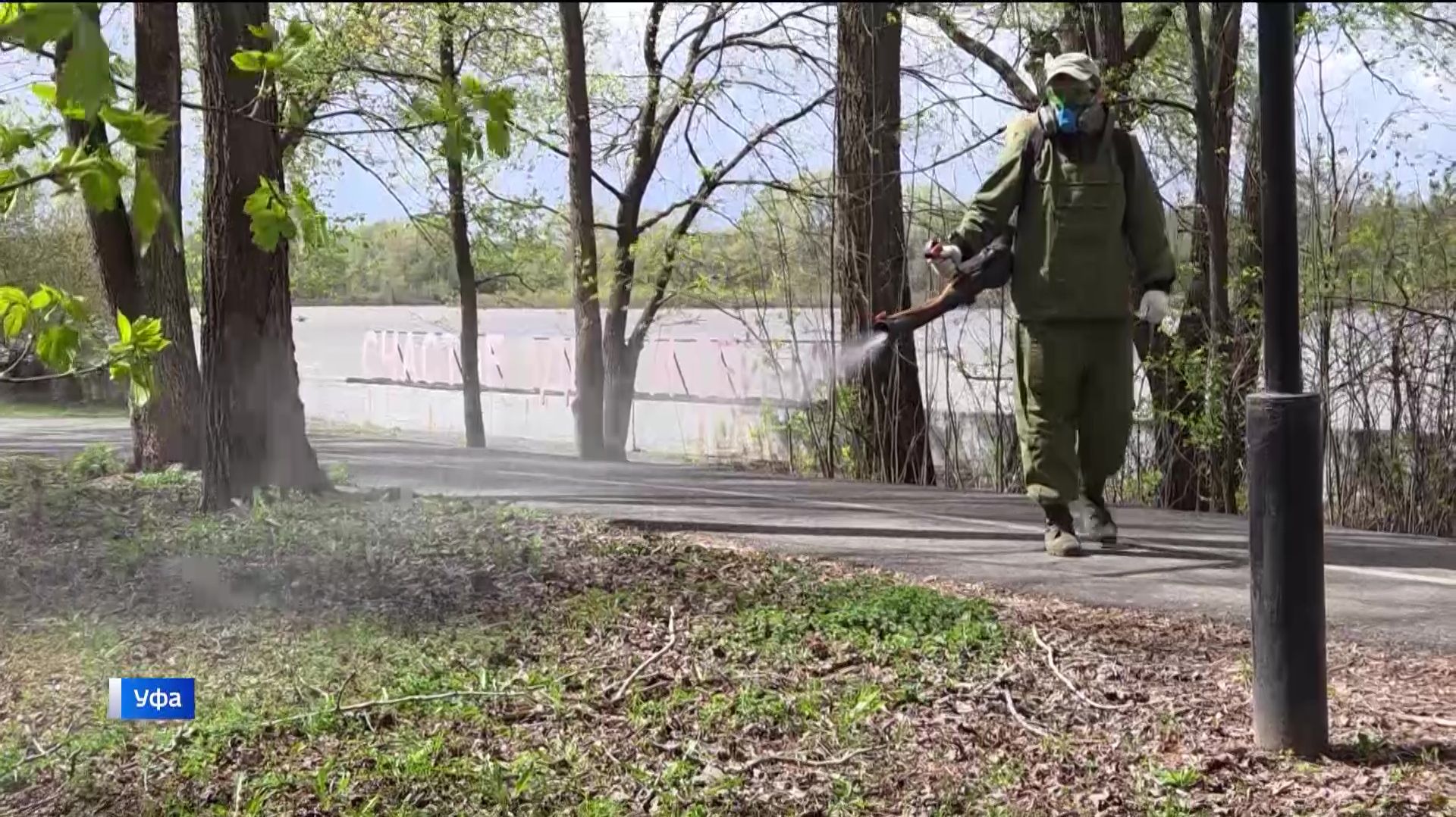 В Уфе обработано свыше ста общественных зон от клещей