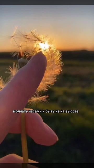 Сильные слова