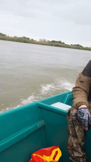 идём на базу, рыбы нет!!!!! #рыбалка