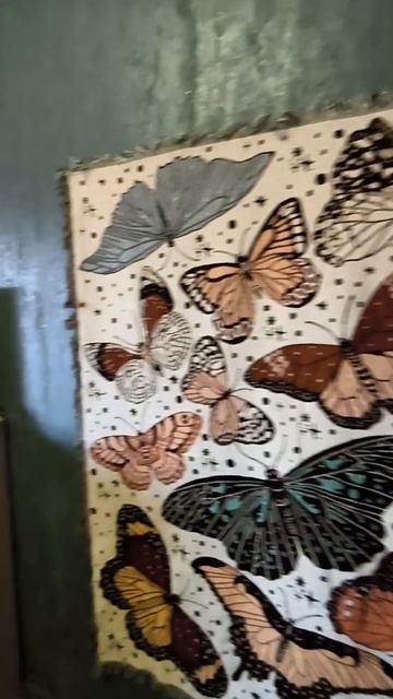 Video.Guru_20260430_202626810