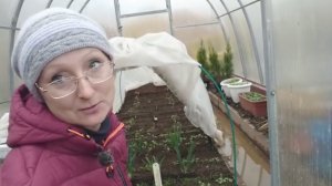 Видео привет с 6 соток 29 апреля 2026 года