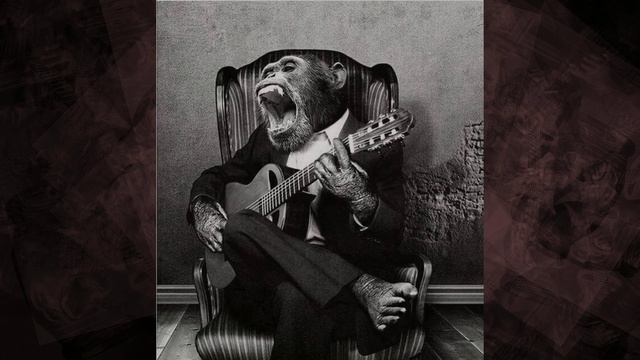 Primate, Guitar And Costume