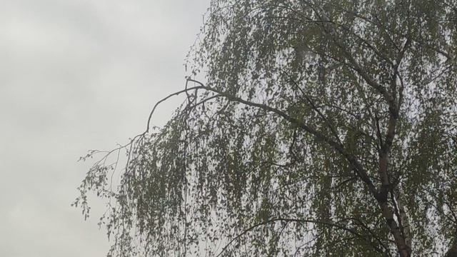 30 апреля магический не ☀️ пасмурный прогноз погоды от волшебника