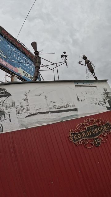 комар и комариха