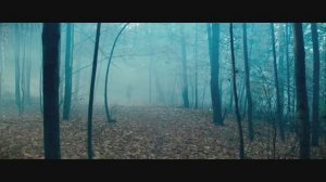 NeonScorpion - кома : По Ту сторону..автор ролика Светлый