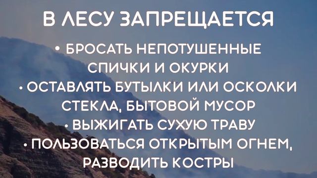 Берегите лес от пожара!!!
