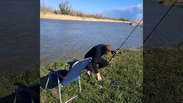 Рыбалка в Астраханской области (архивные видео) #вобла #лещь #fishing #рыбалка #астраханьрыбалка