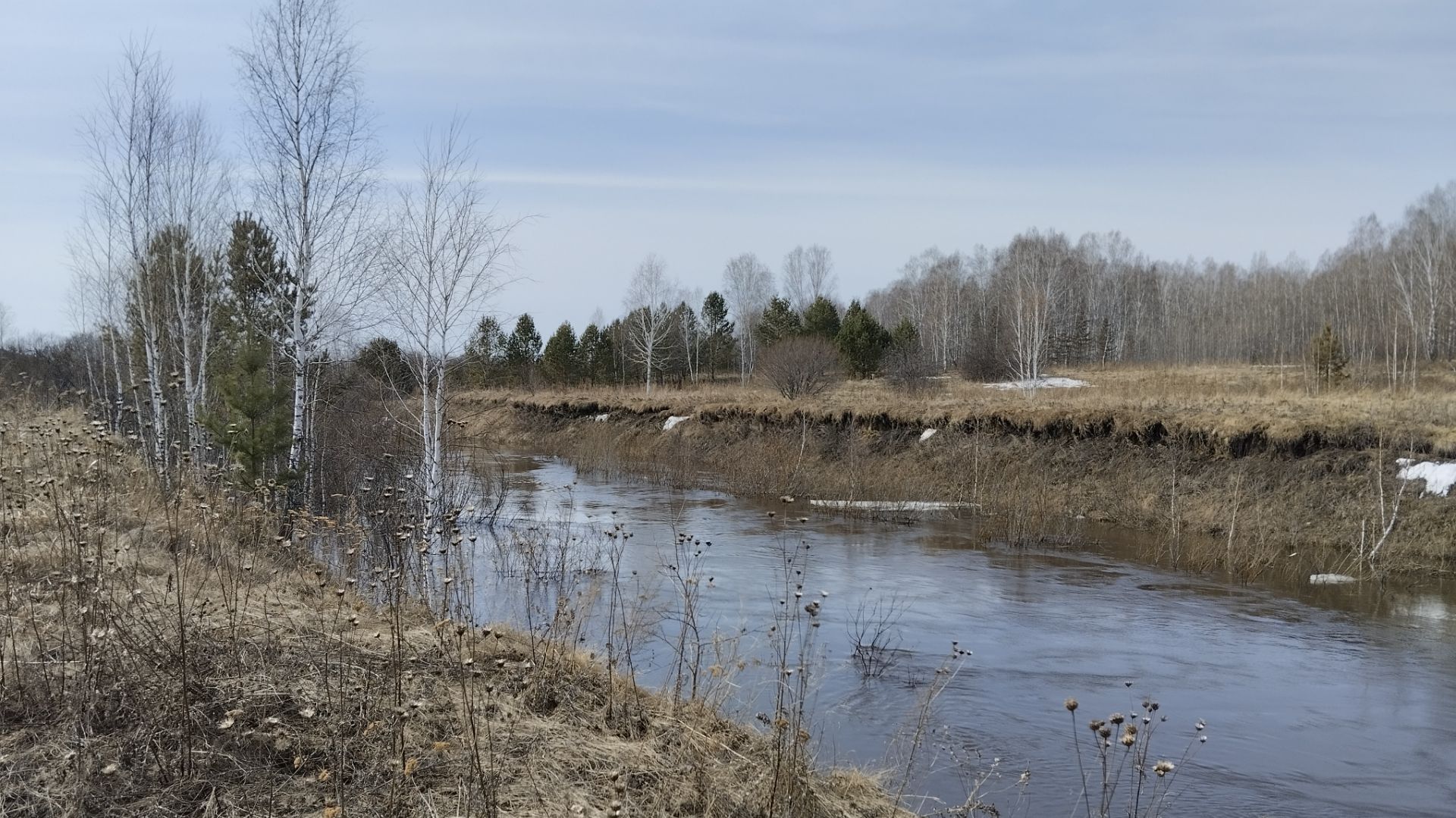 Вторая волна половодья