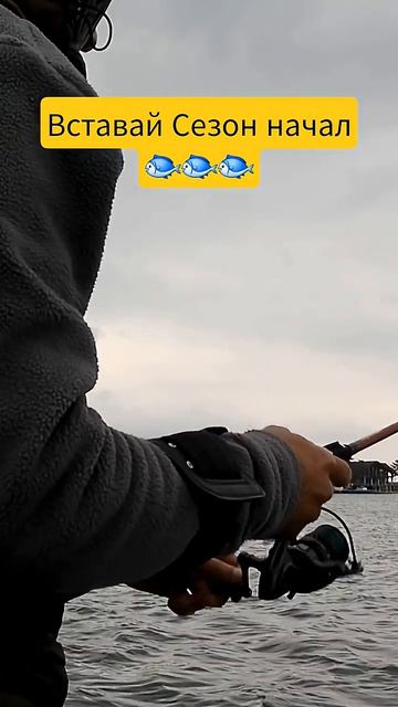 #fishing #shorts #shortvideo