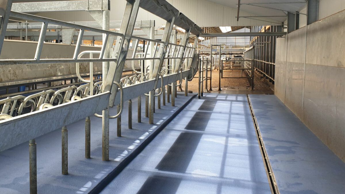 Доильный зал Параллель BouMatic XpressWay 3.0