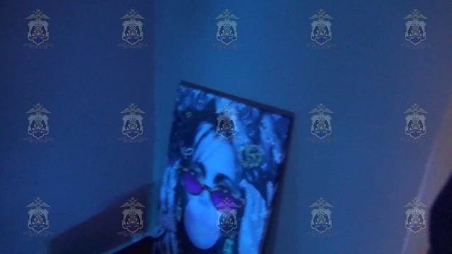 Организаторы и модели вебкам-студии в Великом Новгороде осуждены на условные сроки