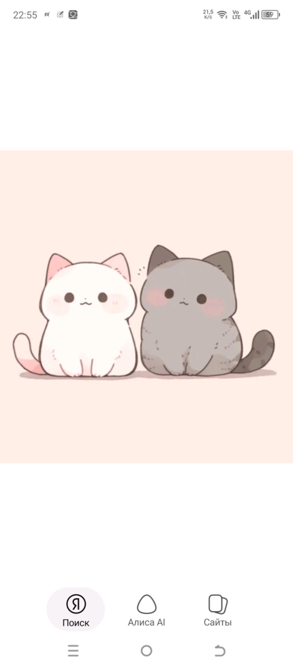 Dozi Adckeri Corector