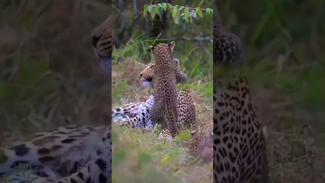 Вот.. Может понравится..