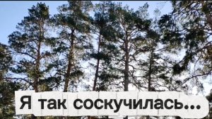 Я так соскучилась...