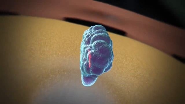 Метод CRISPR/Cas: как редактировать гены и что это значит для будущего