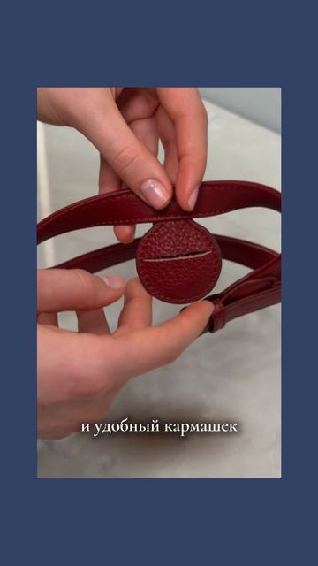 Шлейка для собак с гео трекером Tesoro Collezione