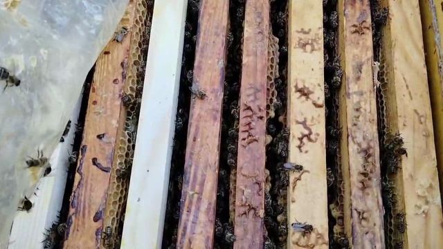 30 апреля  ГОТОВИМСЯ к ПОТЕПЛЕНИЮ и взятку