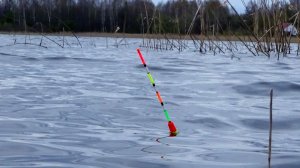 Рыбалка на поплавок на удочку в непростую погодку на озере в середине весны!