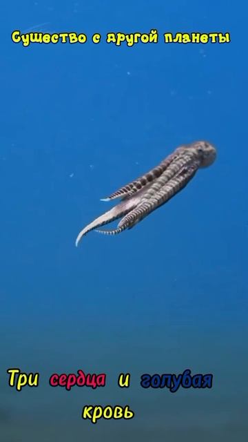 Марсианин уже на Земле.