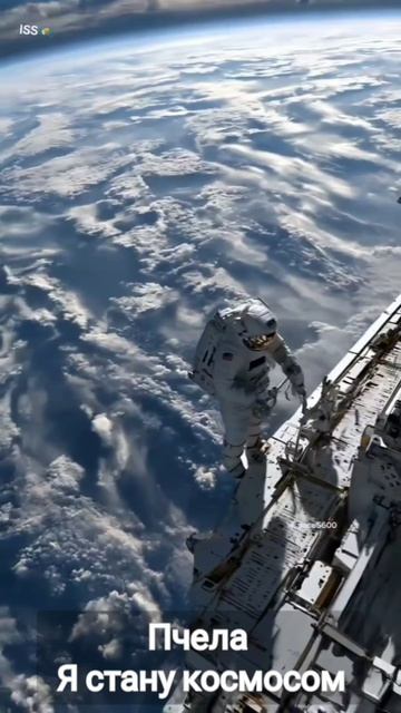 Продолжаем лететь во всевозможные чарты!

Пришла приятная новость из ВК Музыки: им неожиданно зашёл