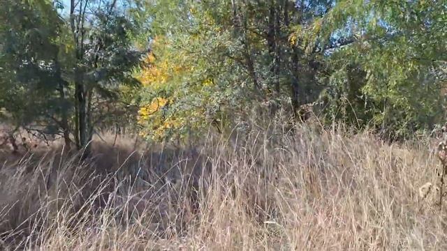 МЫ ЗДЕСЬ БЫЛИ НЕ ОДНИ