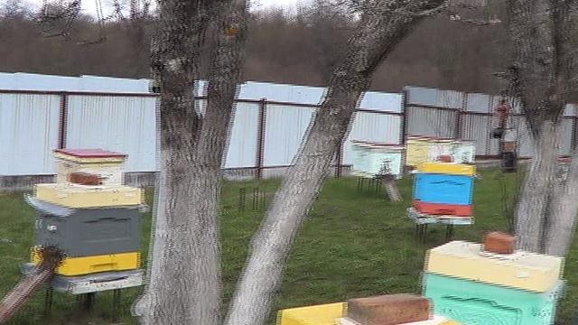 10 дней без облёта