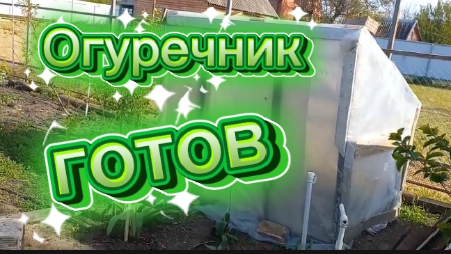 Огуречник готов. Готовлюсь к заморозкам.