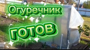 Огуречник готов. Готовлюсь к заморозкам.