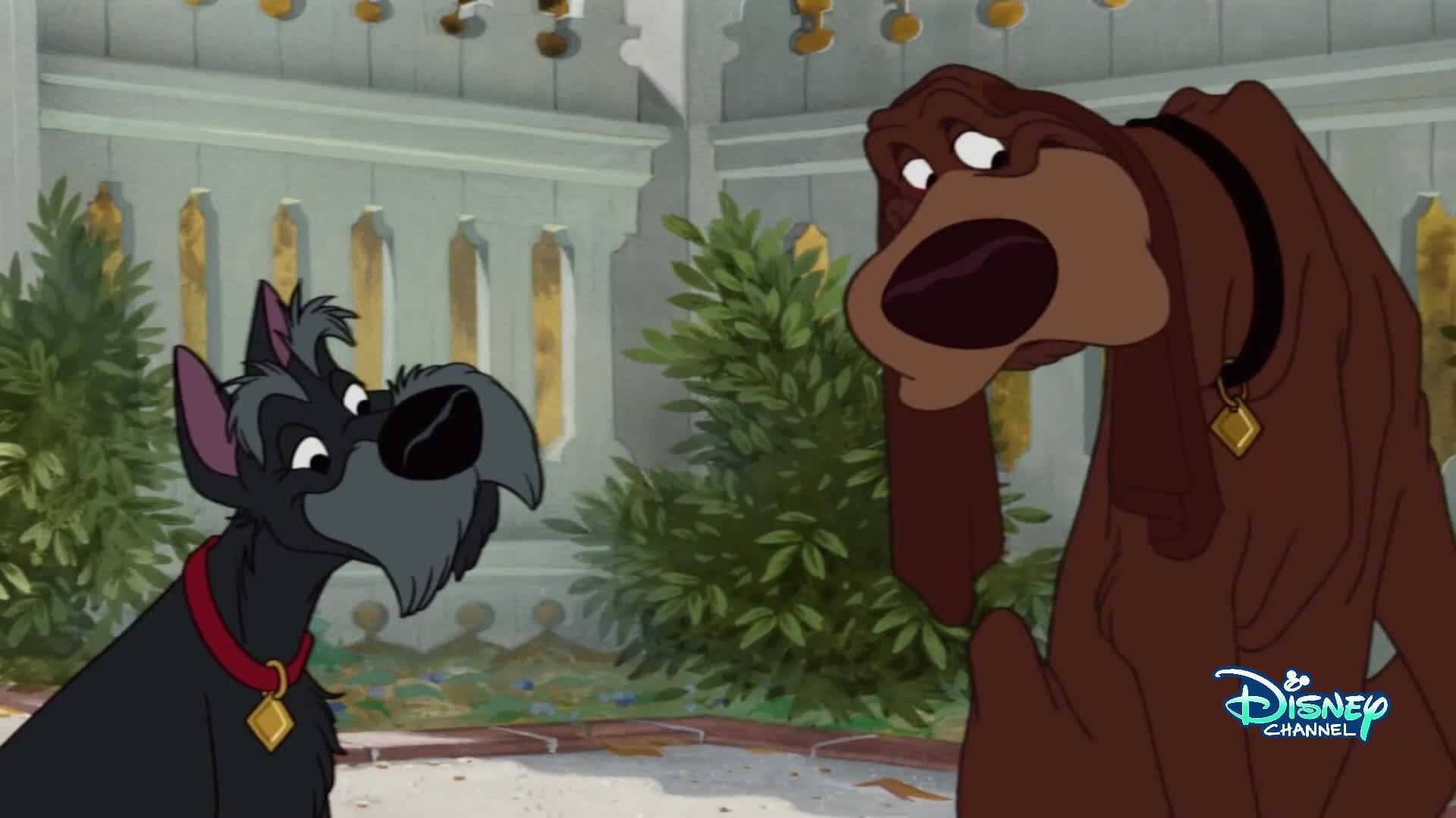 LIVE: Канал Disney