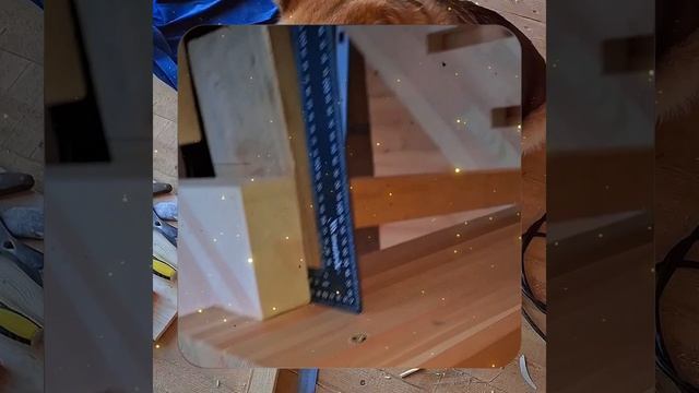 1000057330.mp4 Собака наблюдает за устройством лестницы на 2-ой этаж в доме А-фрейм