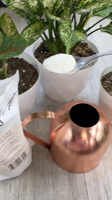 Еще один спасенный Задохлик!