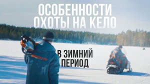 Заготовка сухостойной Полярной сосны Кело (19.01.2020)