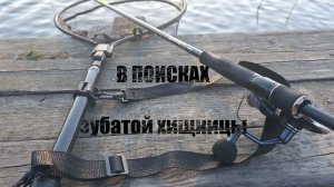 В ПОИСКАХ ЗУБАТОЙ ХИЩНИЦЫ.ВЕСНА 2026