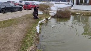 утренние поимки форели