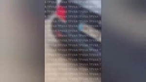 ‼️🇺🇦💥 Взрывы в Тернополе, «Герани» бьют по объектам врага

▪️Вражеские мониторинговые ресурсы соо