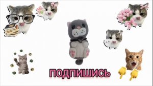 Подпишись