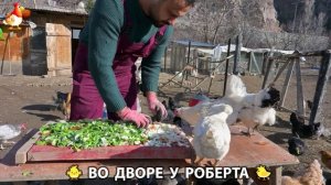 Содержание кур в домашних условиях и других птиц во дворе у Роберта 🐣🐤🦆🐔🪿🦃 (484)