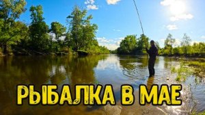 Рыбалка на поплавок в мае месяце